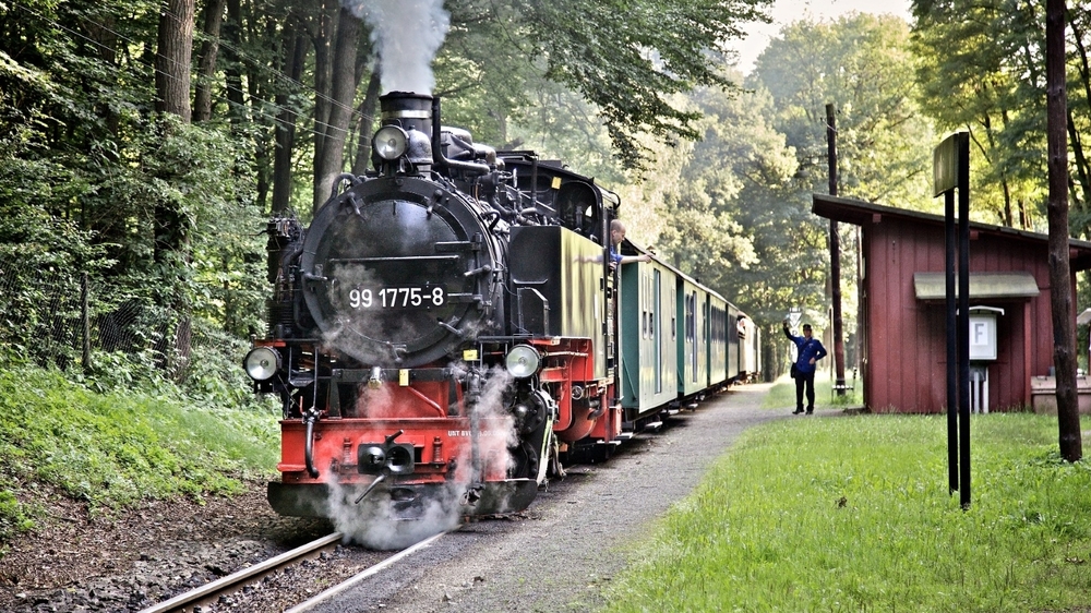 Lössnitzgrundbahn   im Lössnitzgrund  Foto: Lars Neumann