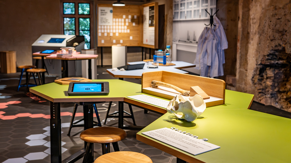 Anthro Lab Burg Mildenstein © Dietmar Thomas