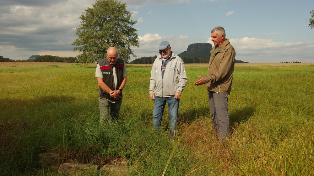 Der Zulauf des Hörnelteichs ist noch intakt. Drei, die sich jahrelang um das Gewässer gekümmert haben: Jörg Weber von der Nationalpark- und Forstverwaltung, Landschaftsbauer Siegmar Schröder und Klaus Schneider vom Gebirgsverein Heimatfreunde Gohrisch. (v.l.n.r.) Foto  ©HartmutLandgraf