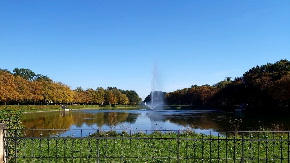 Am Mittwoch Sonne satt bis 39 Grad, Donnerstag kommt es regional zu Schauern und Gewittern. Foto: MeiDresden.de