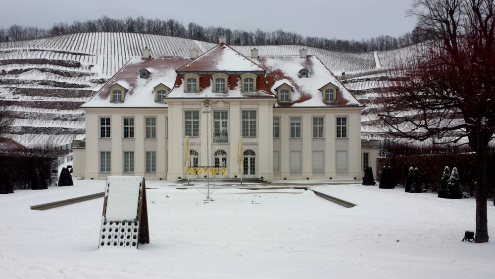 Die nächsten Tage bleibt uns das winterliche Wetter erhalten ©MeiDresden.de